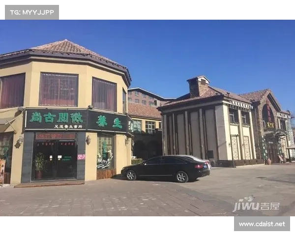 天津亿利周边的商业发展与城市更新:振兴与未来展望 天津亿利周边的商业发展与城市更新:振兴与未来展望